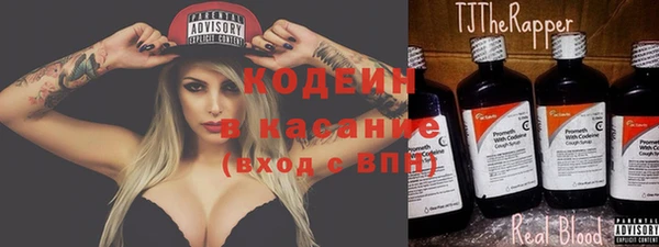 прущие крисы Бородино