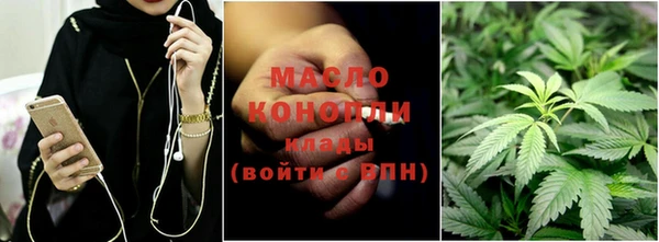 гашик Верея