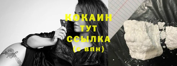 прущие крисы Бородино