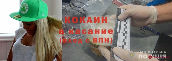 прущие крисы Бородино