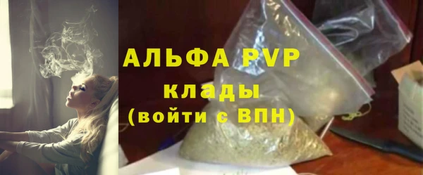 гашик Верея