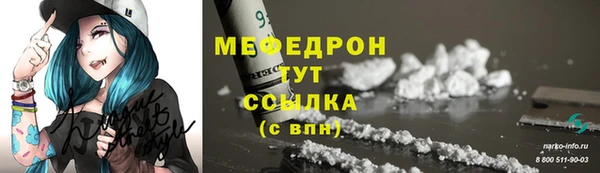 гашик Верея