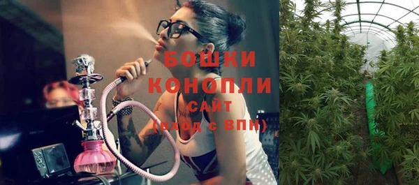 spice Бугульма