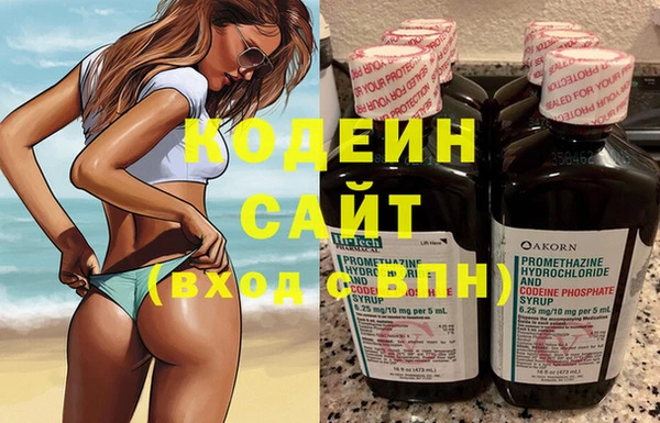 прущие крисы Бородино