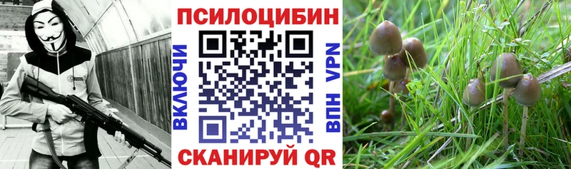 blacksprut ONION  Мезень  Псилоцибиновые грибы Psilocybe  закладка 